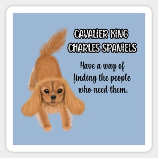 Cavaliers have a way of finding the people who need them. (Ruby) Sticker